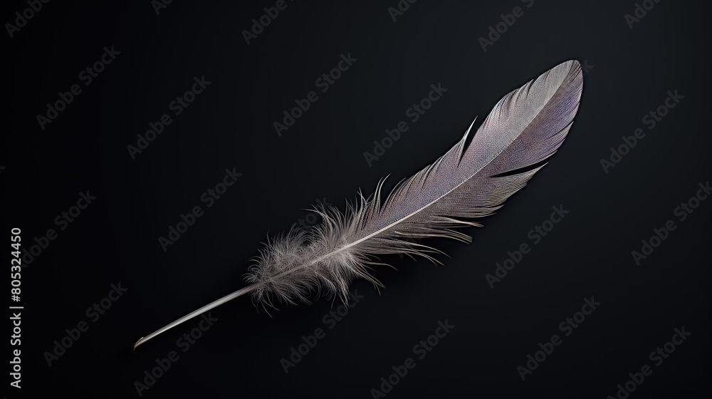 Obraz premium feather dark grey background