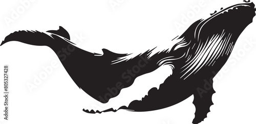 Whale silhouette on white background. whale logo