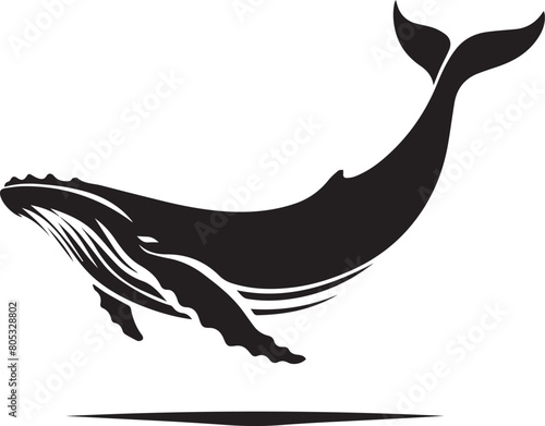 Whale silhouette on white background. whale logo
