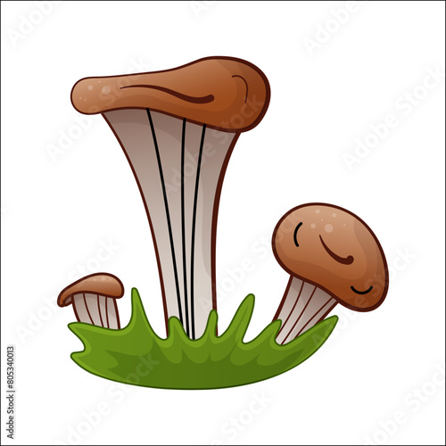 Oyster mushrooms vector isolated illustration. Theme of plants, botanists in cartoon. Design element for theme forest mushrooms, menu, forest, ingredients, recipes, organic products, etc