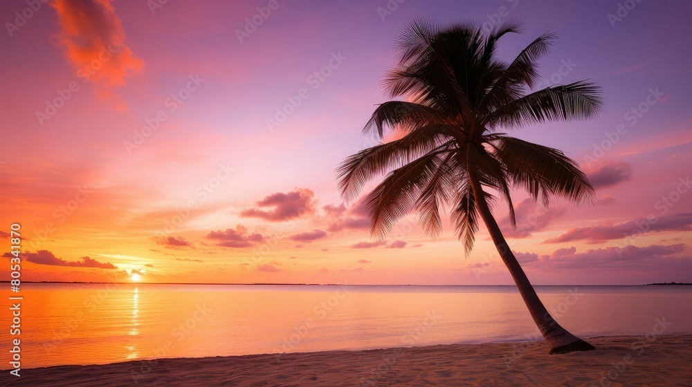 leaves pink palm tree