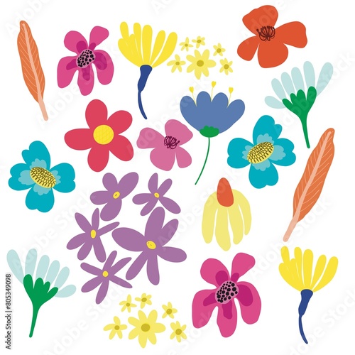 Flowers group. Nature cartoon illustration of flowers and leaves beautiful collection. Blossom plant, botanical flower