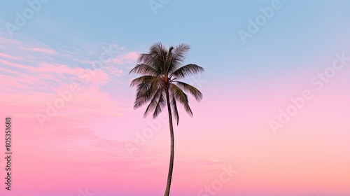 vibrant pink palm tree © vectorwin