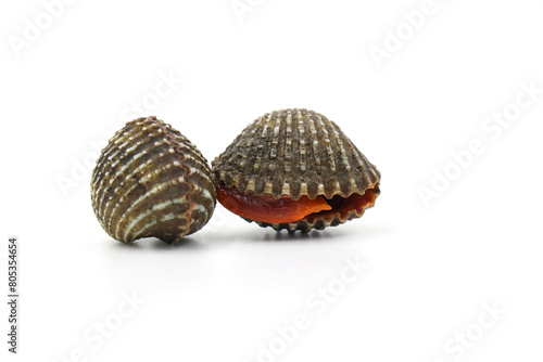 This is a close-up photo of a white background clam shell, commonly known as a cockle. seafood. This shell is often found on sandy.