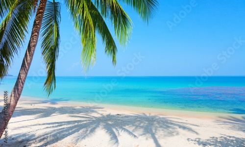 Tropical beach. Nature most beautiful place