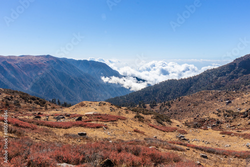 The image depicts a serene landscape with mountains and trees. The scene includes a mountain range with trees covering its slopes. Silver-white clouds fill the valley below, adding to the tranquility 