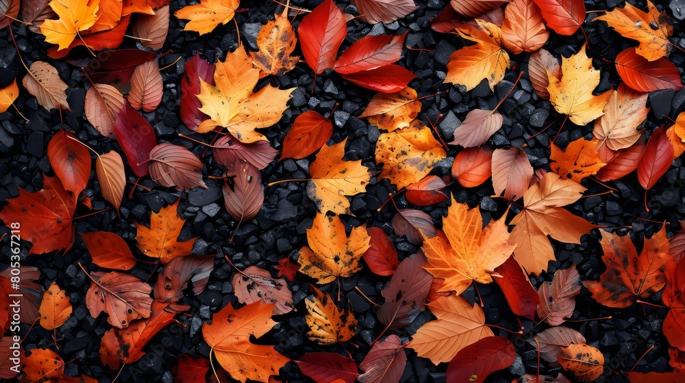 A vibrant autumn background with a mix of red, yellow, and orange maple leaves A vibrant autumn background with a mix of red, yellow, and orange maple leaves