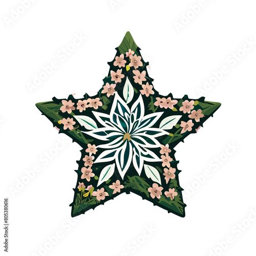 Illustration of star
