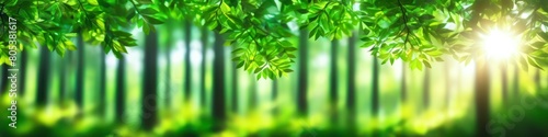 Enchanting forest scene with sun rays penetrating vibrant green foliage, highlighting the beauty of nature.