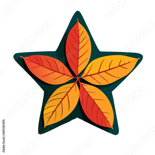 Illustration of star