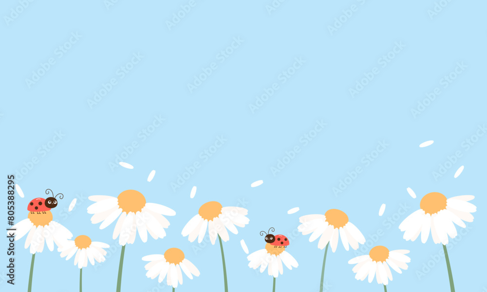 Daisy garden, flying petals and ladybugs on blue sky background vector.