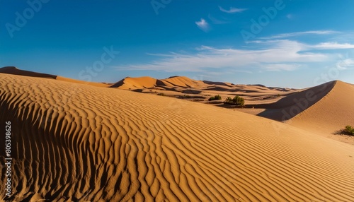 Deep golden sand spreads in undulating dunes in the desert landscape 