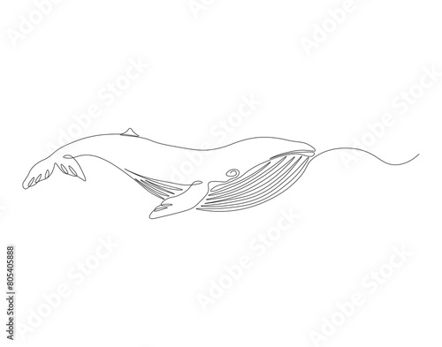 Continuous one line drawing wild blue whale fish. One line drawing illustration of blue whale fish. Marine animal concept continuous line art. Editable outline.