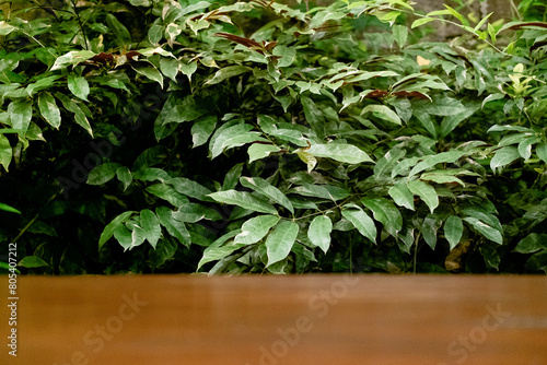 Selective Focus and Blur on Wooden Table with Green Leaves as Commercial Background