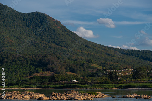 landscape with deciduous forest mountain