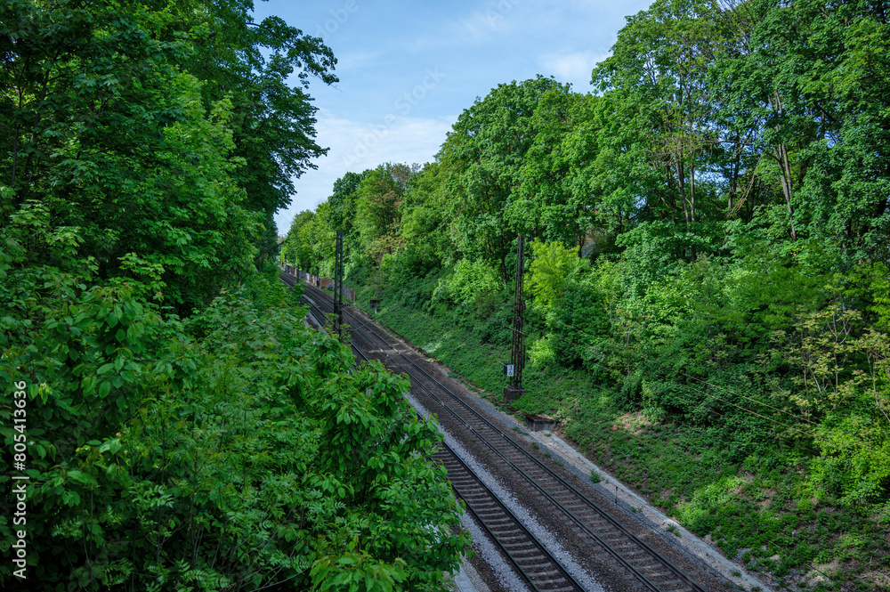 Von Laubbäumen gesäumte Bahngleise Von Laubbäumen gesäumte Bahngleise