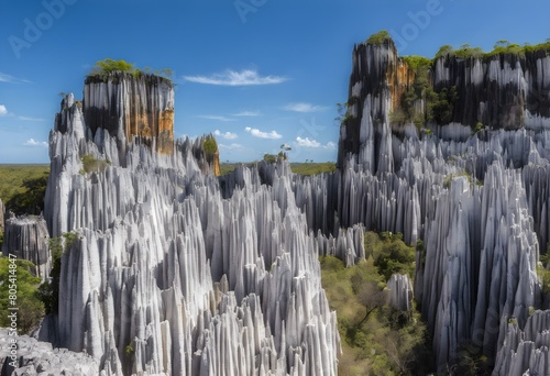 A view of the Tsingy de Bemaraha in Madagascar photo