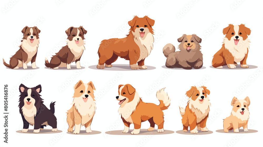 Set of cute puppy herding dog growth stage developm