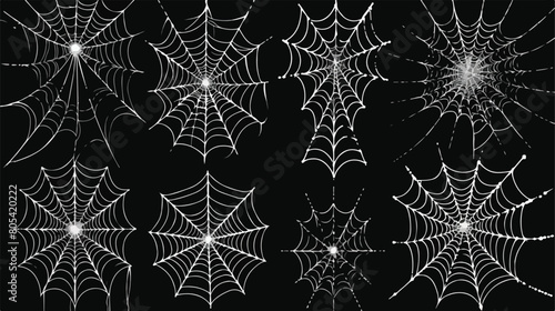 Set of different realistic vector thin Cobweb spide photo