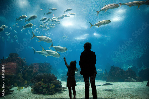 Mother and daughter admiring sea animals, Lisbon Oceanario, Portugal