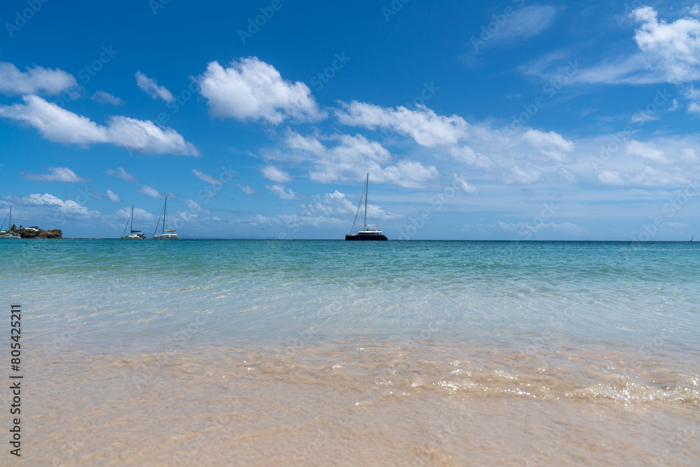 Fototapeta premium Tropical caribbean beach at summer time