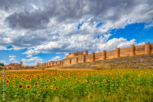 Castle of Berlanga de Duero, province of Soria, Spain