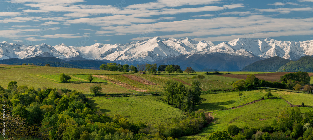 Obraz premium Landscape of southwestern France in spring with the Pyrenees mountains in the background