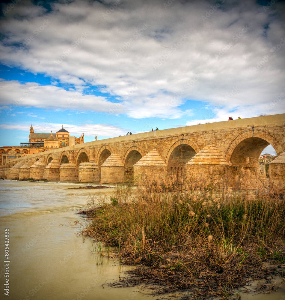 Fototapeta premium Roman bridge, Cordoba, Spain.
