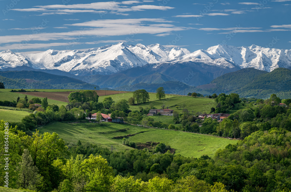 Obraz premium Landscape of southwestern France in spring with the Pyrenees mountains in the background
