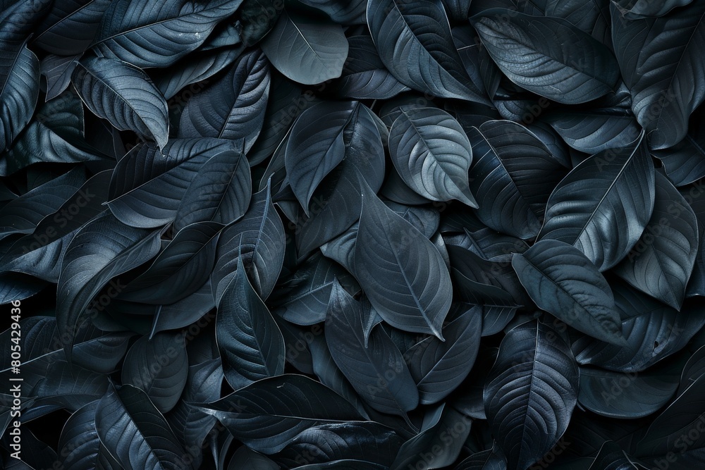 Nature concept. Layout with texture a green leaf close-up. Background with Leaves vintage dark green color and white frame. Beautiful simple AI generated image in 4K, unique. Nature concept. Layout with texture a green leaf close-up. Background with Leaves vintage dark green color and white frame. Beautiful simple AI generated image in 4K, unique.