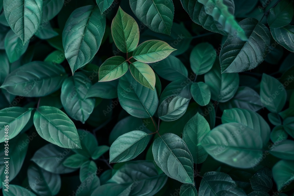 custom made wallpaper toronto digitalClose-Up Of  Dark green leaves. Beautiful simple AI generated image in 4K, unique.