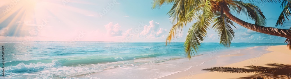 Beach banner and single tree in Golden Beach.