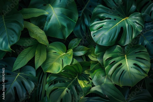 Close-Up Of Dark green leaves. Beautiful simple AI generated image in 4K, unique.