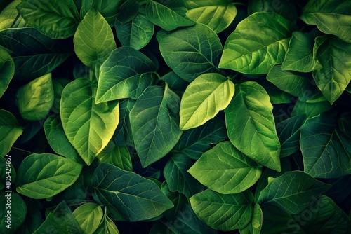 Close-Up Of  Dark green leaves. Beautiful simple AI generated image in 4K  unique.