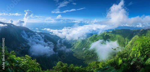A wide shot of a high mountain pass, covered in lush greenery, with clouds hanging low. The open sky above the clouds provides a pristine background for copy,