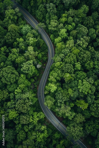 Top view of an asphalt road going through the forest, vertical