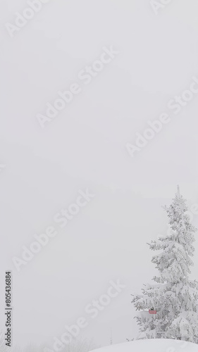 A snow covered tree stands in the middle of a snowy field