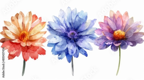 Three watercolor flowers. Red, blue and purple. Isolated on white background.