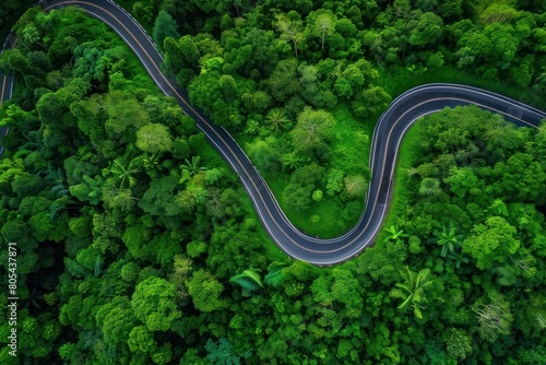 Forest road graced,Aerial top view beautiful curve road on green forest in the rain,aerial view of a cart track in the forest surrounded by green,Aerial top view beautiful curve road on. Generated AI