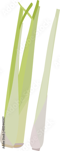 Lemongrass illustration on transparent background.
