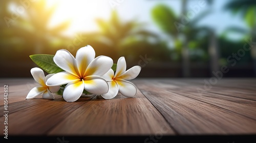 Wooden table  frangipani  shine  bright white