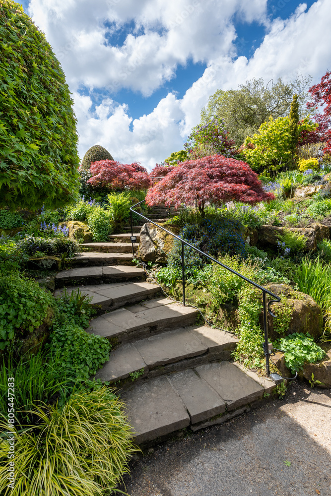 stone steps in the garden