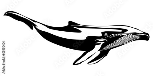 Vector illustration of a whales . dolphin silhouette isolated on white background.icon