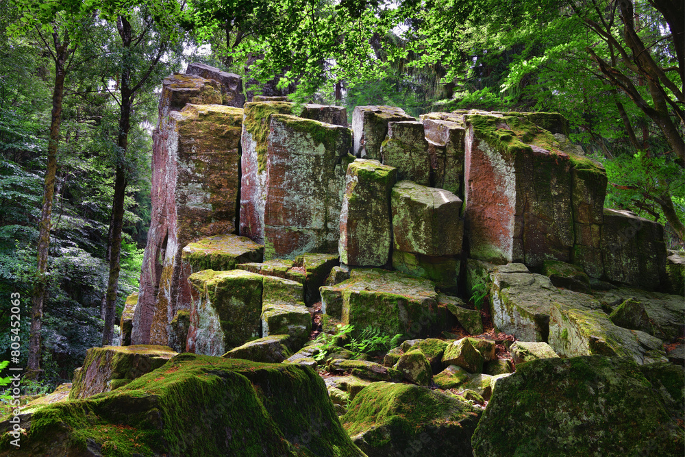 Steinwand in der Rhön