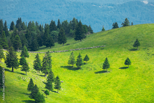 Mountain Valley and Alpine Meadows with Trees and Green Grass. Velika Planina, Slovenia