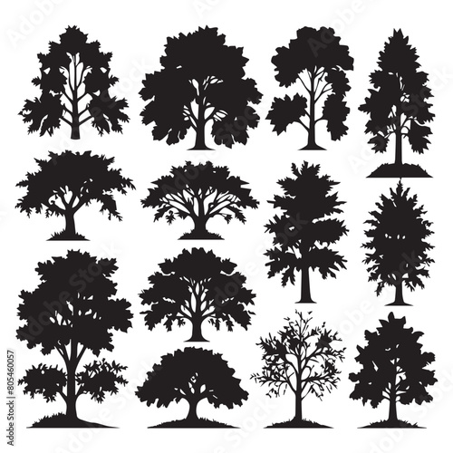 Detailed tree silhouettes - Illustration