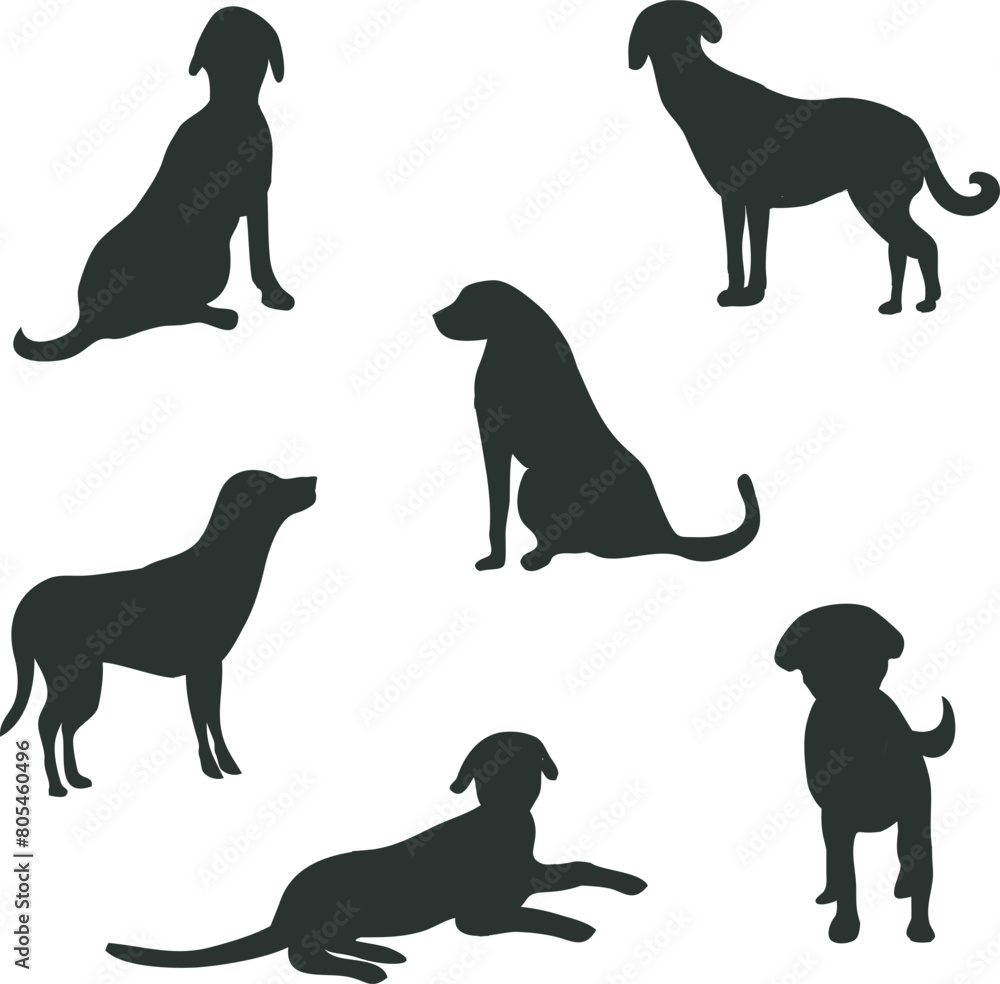 dog silhouette isolated on a transparent background. set of dog silhouettes png.