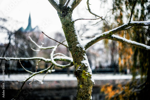 Fototapeta Naklejka Na Ścianę i Meble -  Kołobrzeg