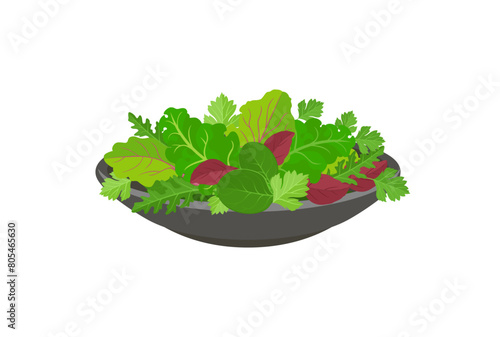 Salad leaves on plate isolated on white. Mix of green leafy vegetables. Vector cartoon flat illustration. Healthy food icon. © Iv85
