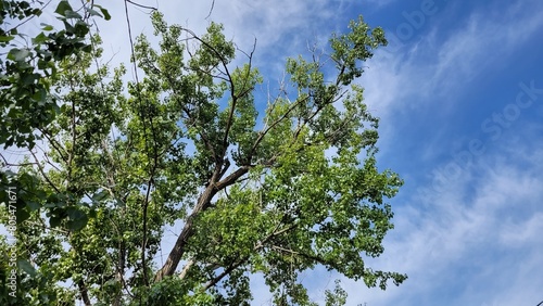 beautiful picturesque view high in the mountains, early spring, fallen covers,